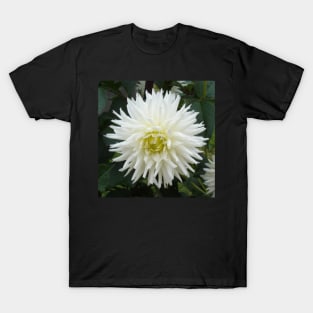 LARGE WHITE PLEASURE T-Shirt